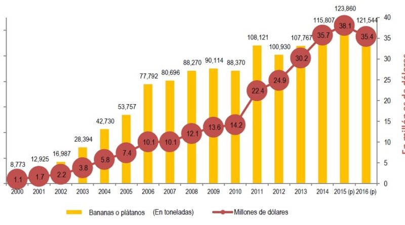 La exportación de plátano cae por primera vez en 16 años