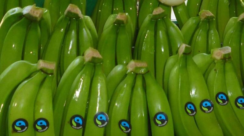 Aceites y bananos, productos con mayor valor de exportación