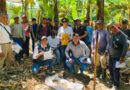 Fusarium merma producción de banano en Piura hasta en 40%