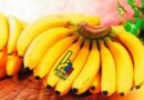 Exportación de banano ecuatoriano cayó en enero y febrero