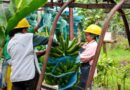 Productores y exportadores de banano de Latinoamérica y el Caribe instan a los minoristas a adoptar la metodología Fairtrade